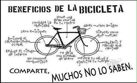 asilascosasw tweet picture