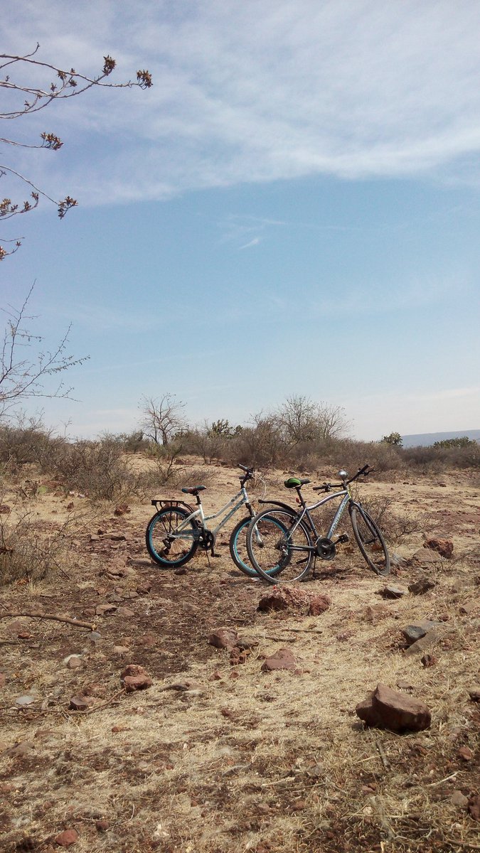 juancho0302's tweet photo. #DiaMundialDeLaBicicleta #FamilyTime https://t.co/nnVvdn7MO4
