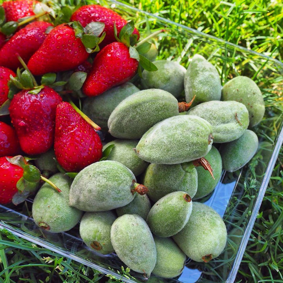 RokaPeraBahce's tweet photo. Baharın güzelleri 🍓🍈☀️🌿 #RokaPera #RokaBahce #RokaPeraBahce https://t.co/wc00pd4sX6