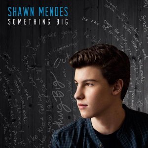 SoldoutGigs's tweet photo. SHAWN MENDES @ EVENTIM APOLLO LONDON

TICKETS AVAILABLE HERE https://t.co/0lVSqnBD6q

#NOBOOKINGFEES https://t.co/crKXTGIYnI