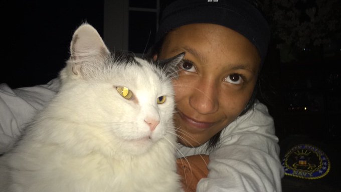 #catlover https://t.co/v4ycDYULay<a href="/tag/catlover"class="tags">#catlover</a>