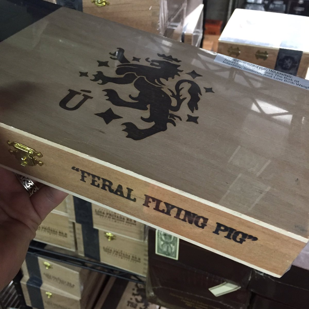 Bloom_Cigar's tweet photo. Get em! #feralflyingpigs https://t.co/qAbtWLE5Zm https://t.co/bXiPv5MBOW