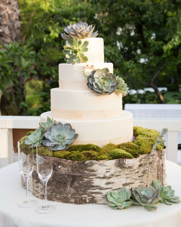 Perfection #cake #birch #succulents | Los Angeles Wedding from JOWY Productions Read more –… inspirational-wedding.com/2016/04/19/per…