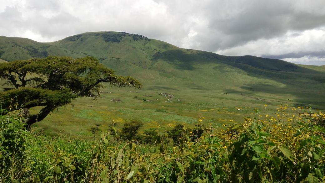 Views of Malanga Depression today as we track Museum, a collared lion #africa #mountains #mammalwatching #Tanzania