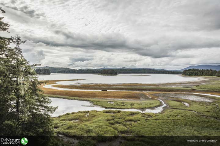 nature_org's tweet image. Former logging communities are driving restoration in the @TongassNF: bit.ly/1NsS14W #photography