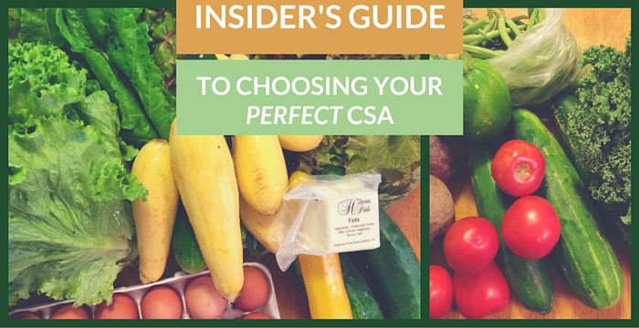 Need a perfect #CSA? <a href="/alishakathryn/">𝒜𝓁𝒾𝓈𝒽𝒶 ♡₊˚</a> gives you the best choices for YOUR #philly lifestyle: bit.ly/1VB1peC