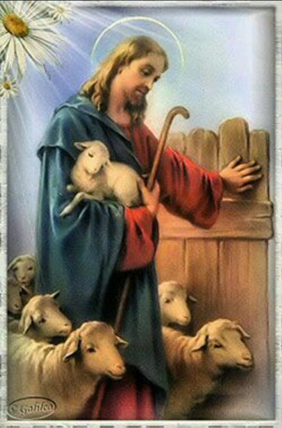 PoetaInspirada1's tweet photo. ÉL BUEN PASTOR"  nunca te faltará.DIOS* no castiga.« Las Leyes dl Universo»»«»»»»»»»»»»»»»»»«»«»«»«»«»«» https://t.co/X5yy91sV3J