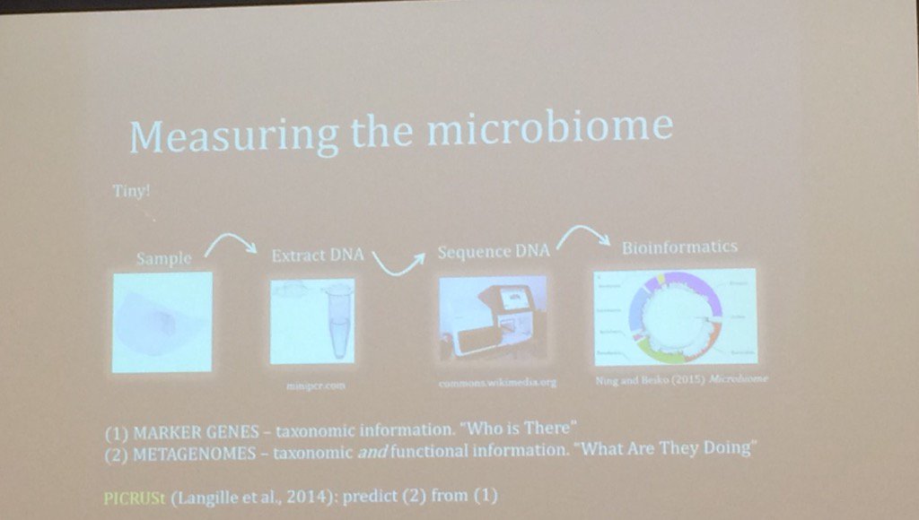 GenomeAtlantic's tweet photo. Measuring the microbiome @rob_beiko @CIHR_IG #genetics16 @DalMedSchool https://t.co/nTl6ePdCk0