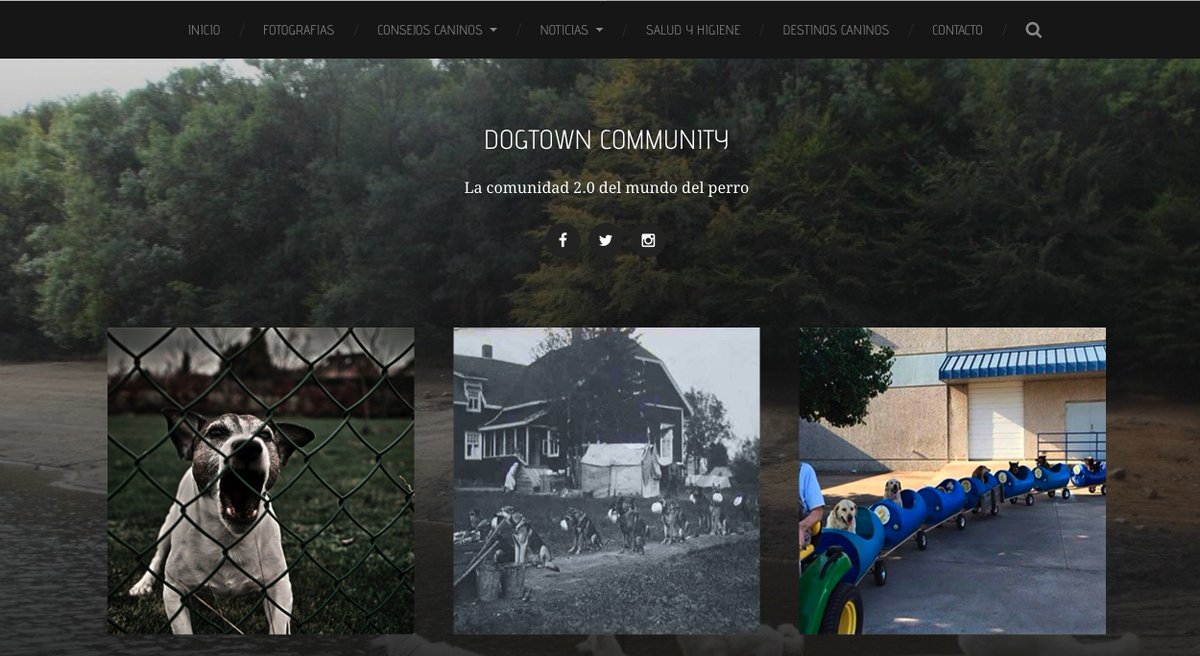 Dogtowncomunity's tweet image. Presentes en la "jornada de marketing" en Tecnocampus

conocenos en:

dogtowncommunity.com 

#MKTecnocampus