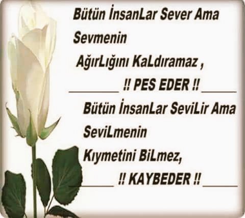 RifatSezer's tweet photo. Candan sevip ve Sevilmeyi 
Hakedenlere selam olsun..
Günlü güzel insanların 
Günlünde olmak temennisiyle... https://t.co/8BiocSc5IQ