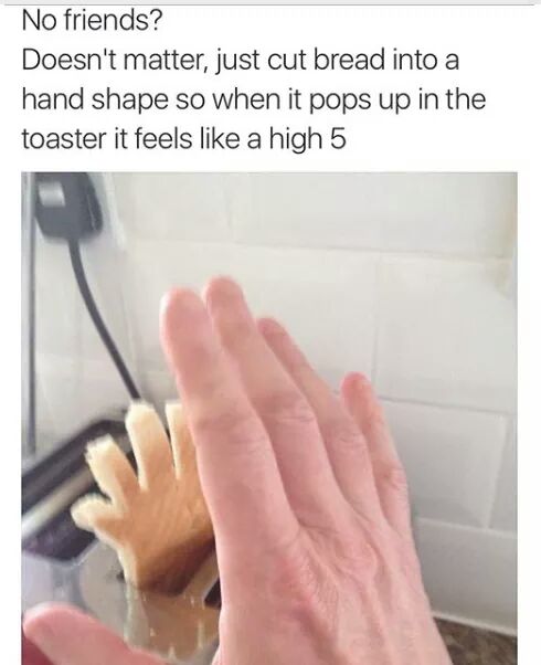 theCHIVE's tweet photo. Who needs friends when you have toast? https://t.co/bSYv05pC52