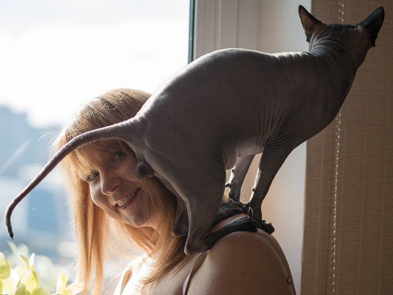 instanthaha's tweet image. 