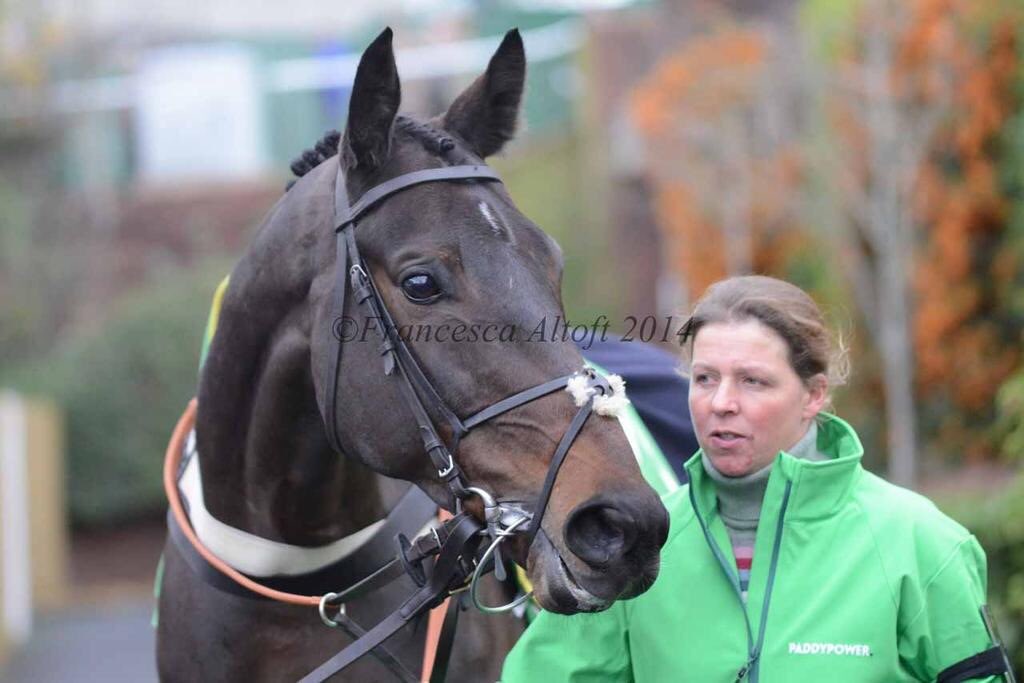 jamiesnowden's tweet image. Gutted to report #PresentView severed a tendon today. He gave us great days #Cheltenham @brendanp1995 @TMBloodstock