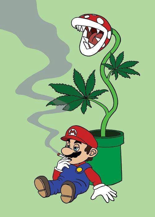 RealSirJungle's tweet photo. Countdown to #420 #420Praiseit https://t.co/812iwJISKk