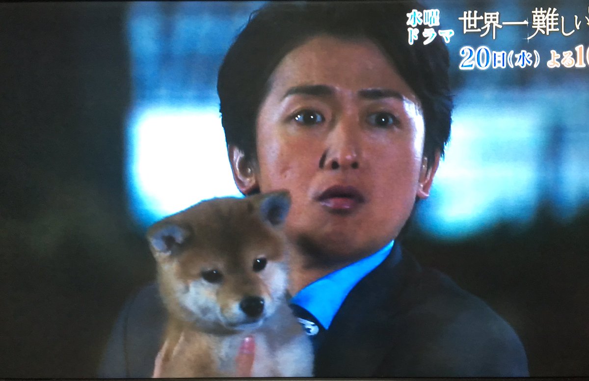 Cocotaro 只今猫並みの脳みそ 鮫島しゃちょーの求愛アイテム 第一話は牛乳 第二話は柴犬ニノちゃん しつこい いや柴犬ワンコ 鮫島しゃちょーの求愛アイテムが可愛い過ぎる件 セカムズ 世界一難しい恋 大野智