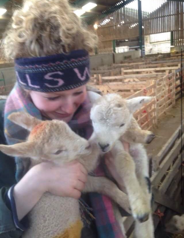 molly_feth's tweet photo. @NFUCountryside The three musketeers #lambingpix https://t.co/dmZRcL1Eop