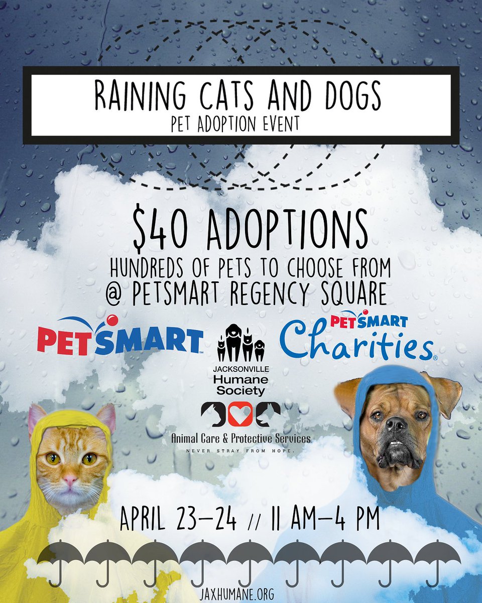 Jax Humane Society tweet media