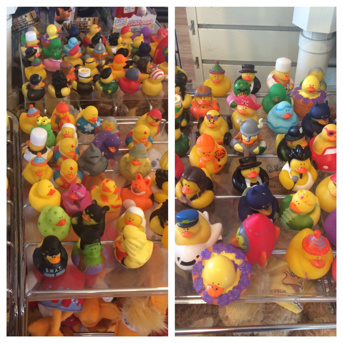 laurenrichmusic's tweet photo. If only @KalLavelle still did #WeLoveSundays #ducks #lotsofducks https://t.co/N8wioBwpiX