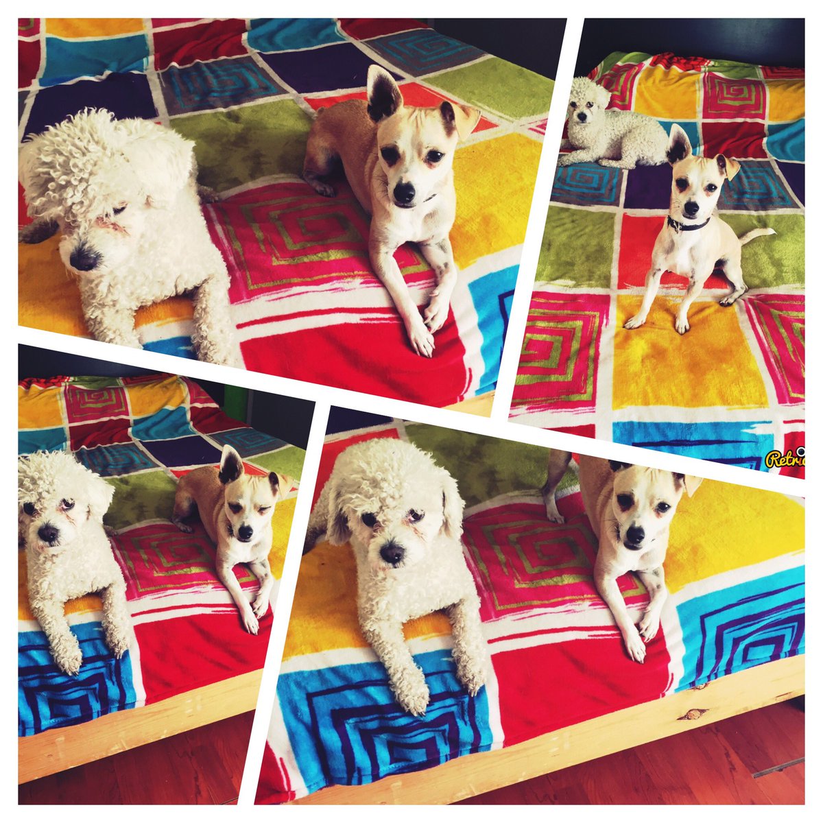 Patsy (@Patsyta10) / Posts / X