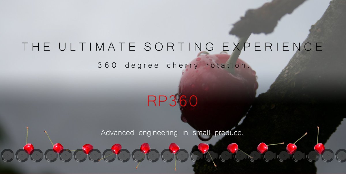 THREE HUNDRED AND SIXTY DEGREES. <a href="/RedPearlSorter/">Red Pearl Sorter</a>