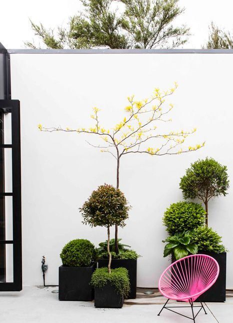 Inspiración de martes... Al mal tiempo buena cara! #deco #garden #plants #acapulcochair #inspiration Vía Pinterest