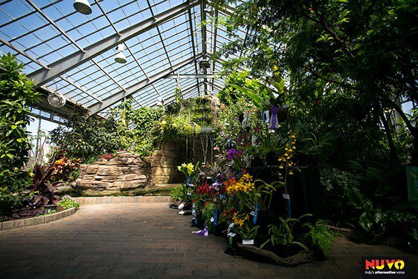 NUVO Indy tweet media