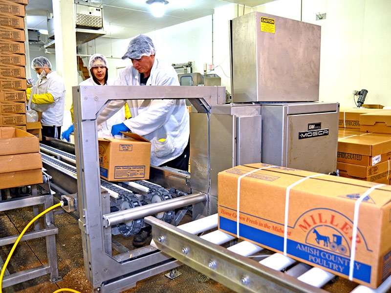 IPSpackaging's tweet image. Do you know the difference btwn #SteelStrapping &amp;amp; #PolyStrapping? hubs.ly/H02JyfM0 #LetUsBeYourGuide