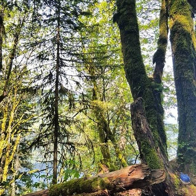 BMICalculator__'s tweet photo. Fun and quirky hike in #Chilliwack called #TeapotHill! Spot hidden #teapots on your trek t… https://t.co/4SvGYuSL81 https://t.co/CxSHqbjxjq