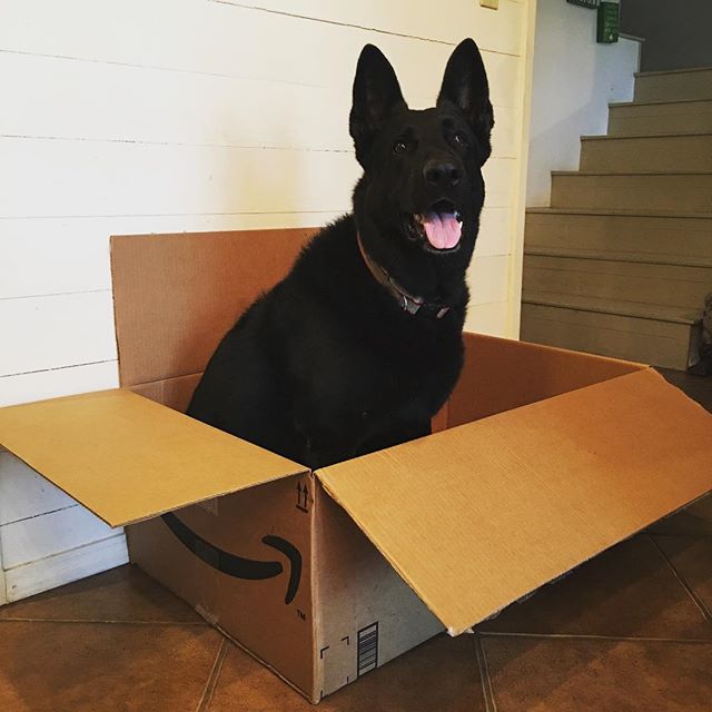 Amazon tweet media
