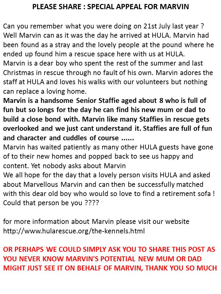 hularescue's tweet image. #SPECIALAPPEAL on behalf of a very special chap #MARVIN  PLEASE PLEASE #ADOPT #MARVIN He's been here way too long