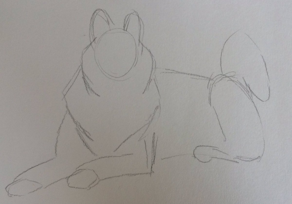 QuorraKay2's tweet image. If you've ever wondered about my sketching process I go from fat bunny to husky 😂#sketchprocess