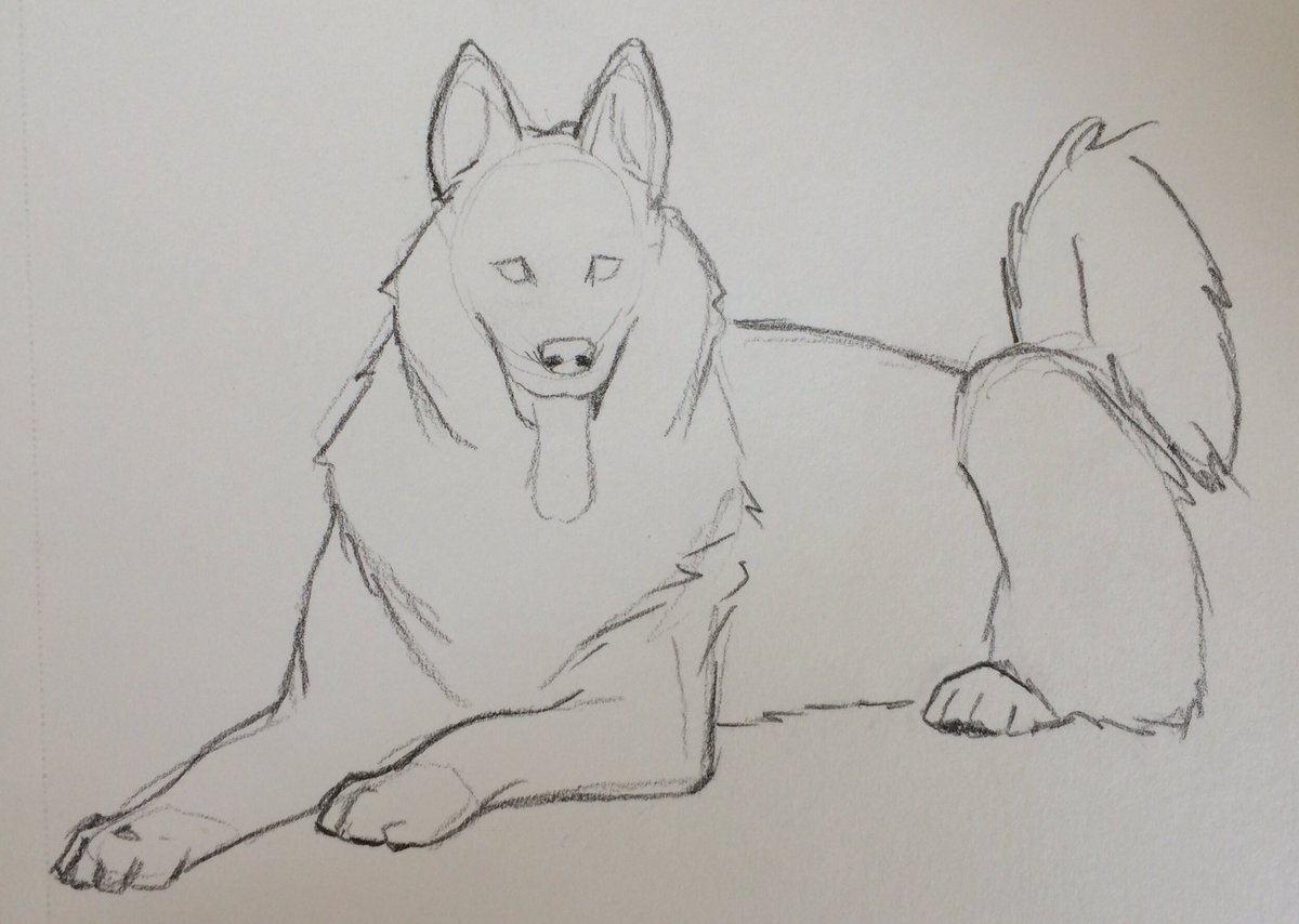 QuorraKay2's tweet image. If you've ever wondered about my sketching process I go from fat bunny to husky 😂#sketchprocess