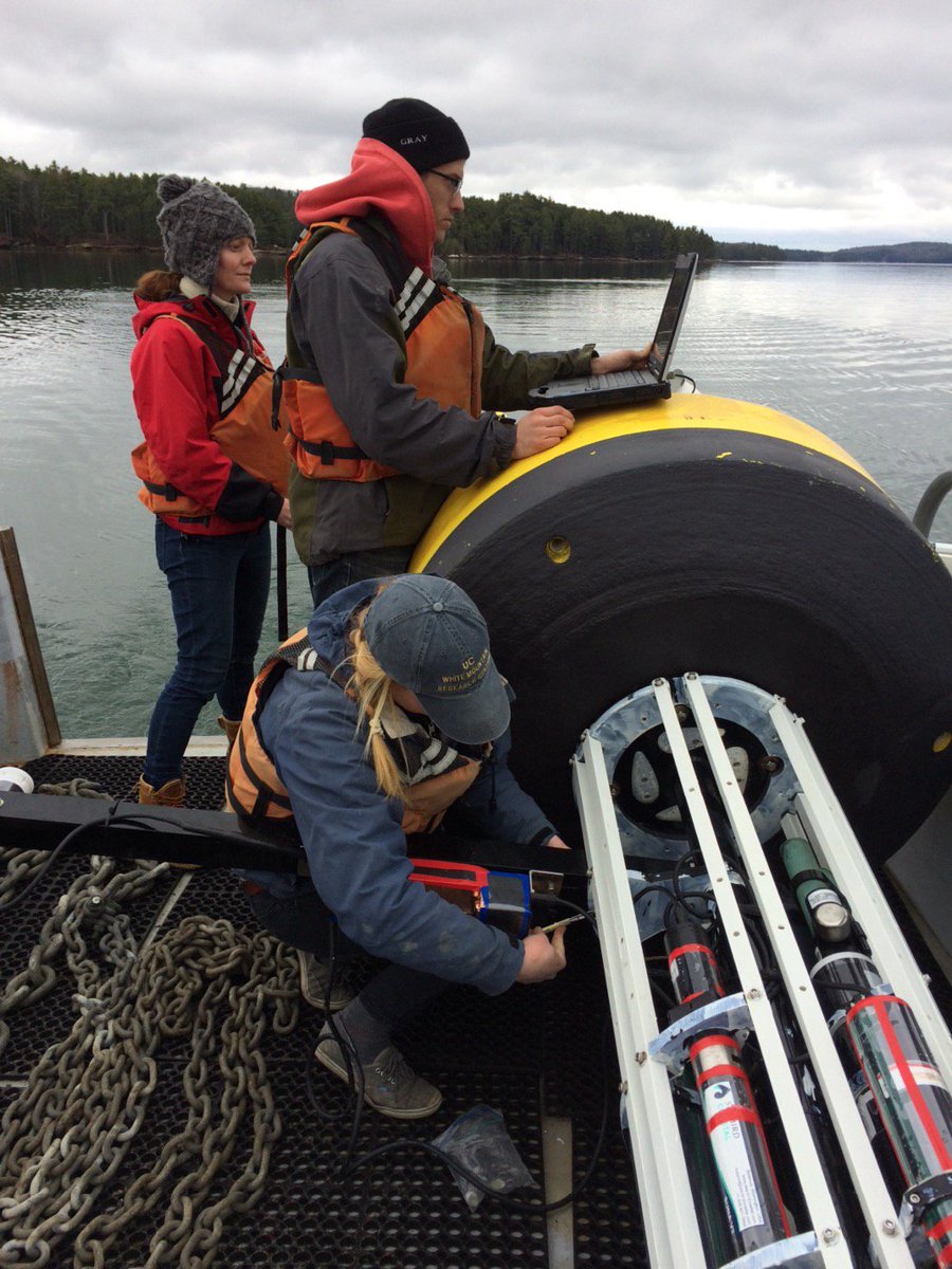 BradyBunchDMC's tweet photo. Members of the Brady Bunch getting it done! #Maine #DamData https://t.co/eu21tCkoQK