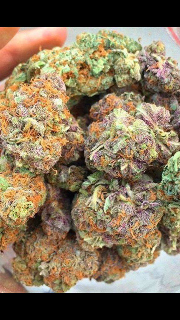 marijuana_mogul's tweet photo. Gettin 420 ready! @hopegrown @FlavoringGurus @_Itsalways420 @420Magazine https://t.co/uyFsDbOJK4