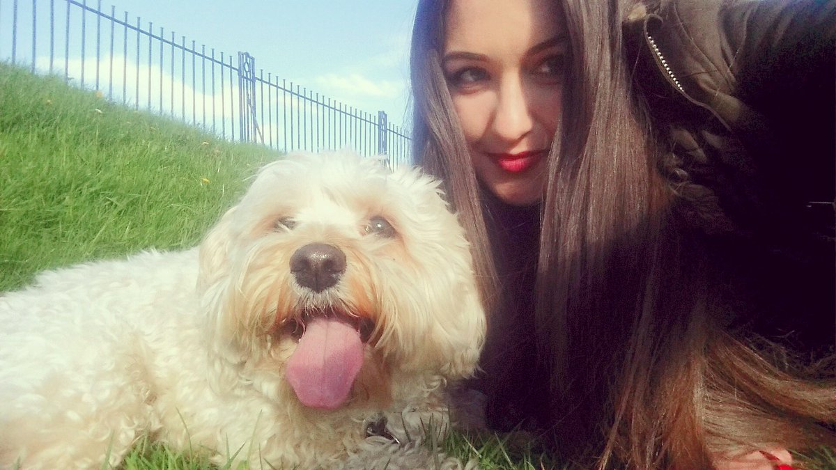 jaynebatesx's tweet photo. Selfie with Alfie 🐶❤ #selfie #dogs #cute #cavachon #TongueOutTuesday https://t.co/w45WGiP7Ax