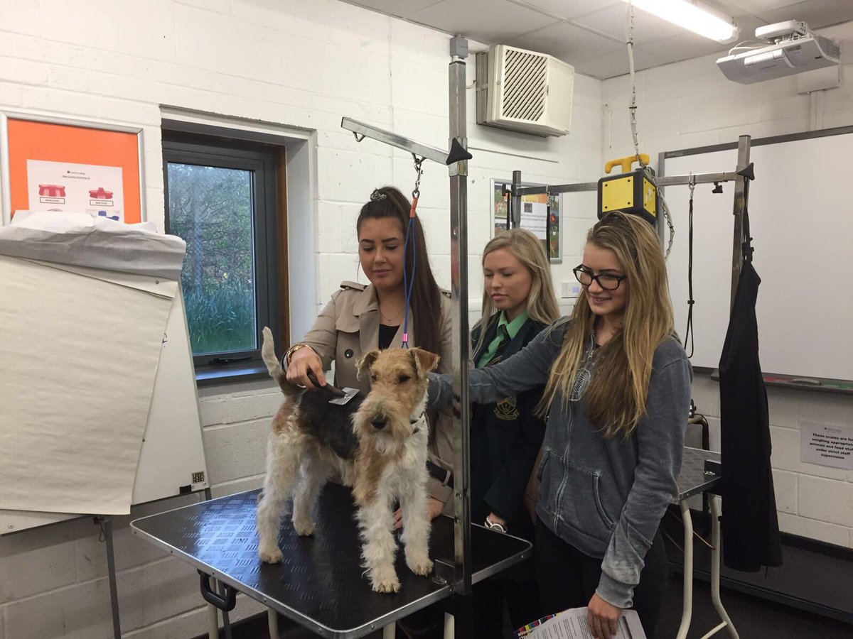 SolihullCollege's tweet photo. Hope everyone has enjoyed the Try It open event tonight at Blossomfield Campus 😊 #tryitloveitlearnit https://t.co/M27ubJE2Rp