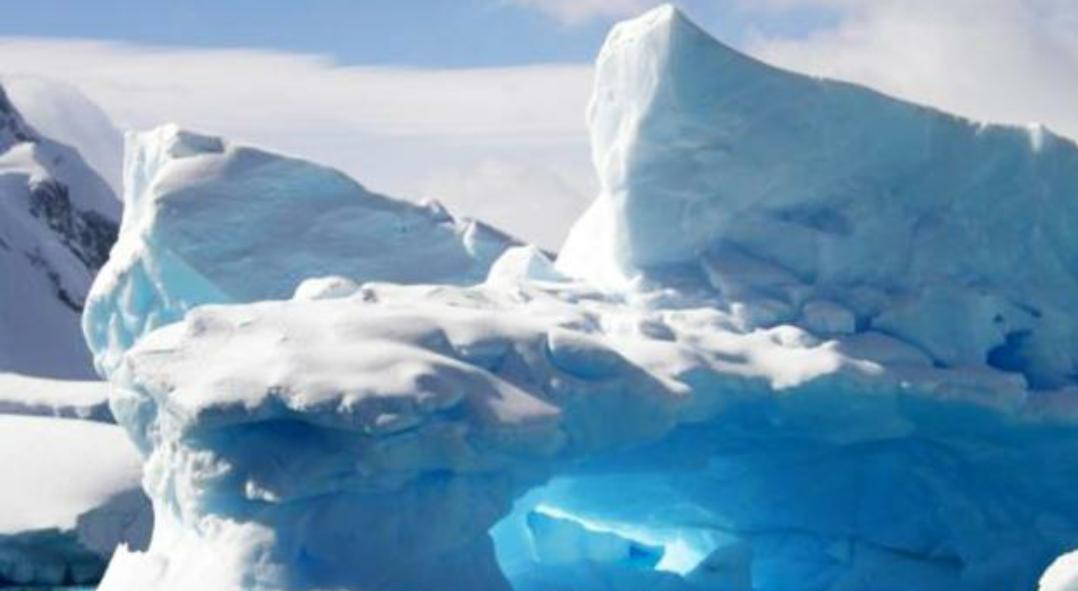 Morgen Dag van de Koude! Aanvang openbare deel om 15.30 uur in OTIB gebouw in Woerden. Info:
knvvk.nl