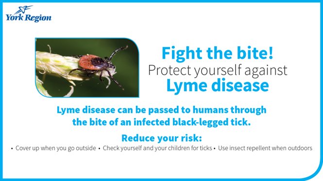 YorkRegionGovt's tweet photo. A6: We also provide education and information to residents so they can #FightTheBite #CheckUpChat https://t.co/ttukjNT8Qt