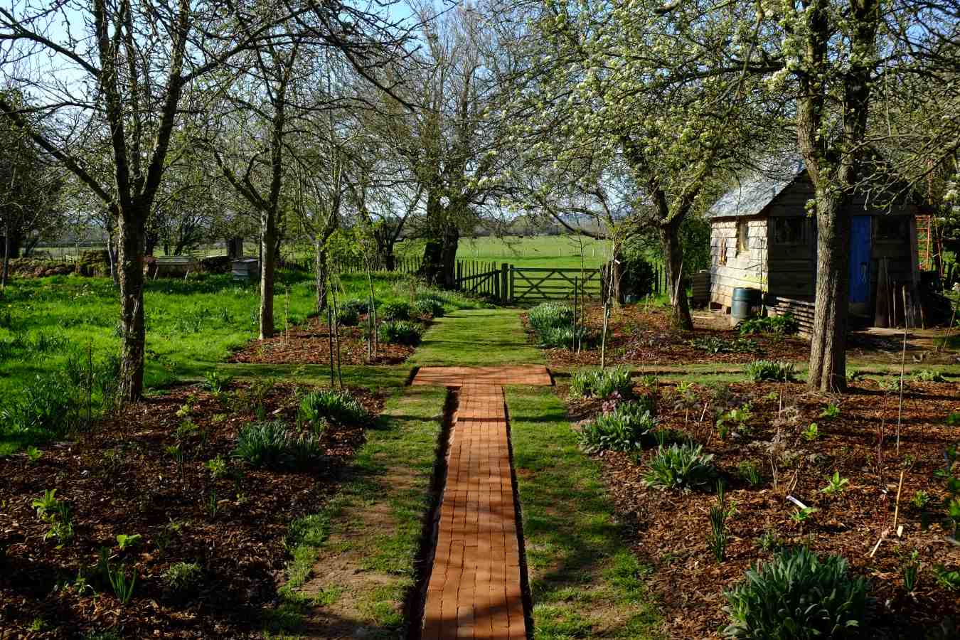 Monty Don Longmeadow Map Monty Don On Twitter: "New Paths Starting To Shape Up  Https://T.co/Ntcij7Wtid" / Twitter
