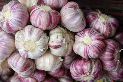 cksmokehouse's tweet photo. Happy Garlic Day! #chefslife https://t.co/TfivxHfB7l