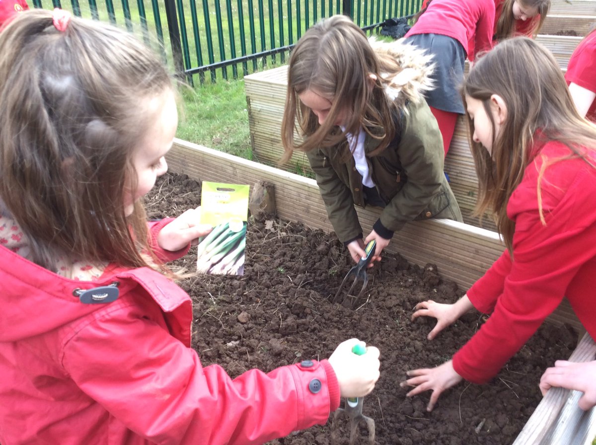 Coedevaprimary's tweet photo. Sorting out the planters in #forestschool and planting some vegetables and flowers #CEPY5 #5DL #5LG https://t.co/nSXakzdN4z