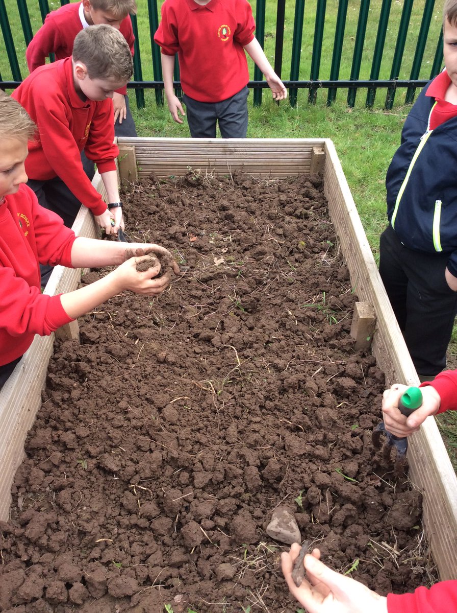 Coedevaprimary's tweet photo. Sorting out the planters in #forestschool and planting some vegetables and flowers #CEPY5 #5DL #5LG https://t.co/nSXakzdN4z