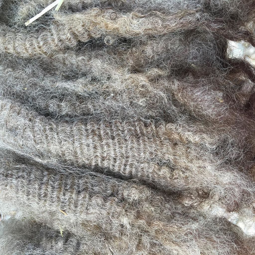 DragonwoolSheep's tweet photo. by mystudioodd :: Shetland arrived today it is beautiful. #fiber #fleece #shetlandsheep #woollocks #woolprep #fiber… https://t.co/xSsS0dJplR