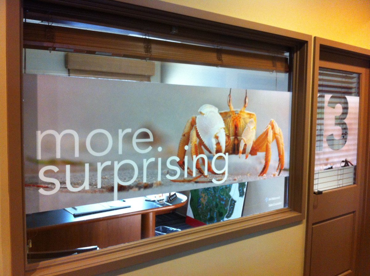 RiotCreativeImg's tweet photo. Liven up your workspace: https://t.co/qIJBJA1iHj https://t.co/frgRF7rJEb