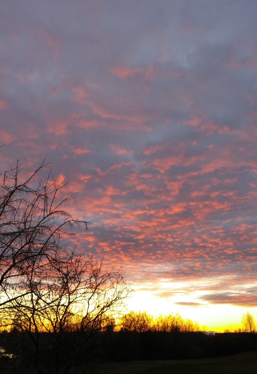 Brad Bauer tweet media