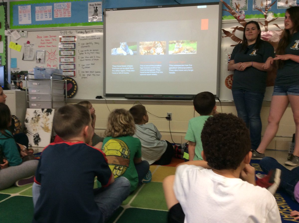 msreimler's tweet photo. We enjoyed our Tigers for Tigers presentation and craft! #askusabouttigers https://t.co/PsoSUbnVhu