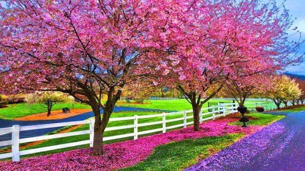 Nivea__mc's tweet photo. @lulyge2010 @EternalDahlia @ThEcualizere @Rich_Yuji @LovelynHild @balcifatma1965 @clupko @Curvy_Fina @MettySarmiati https://t.co/TnPYH671mf