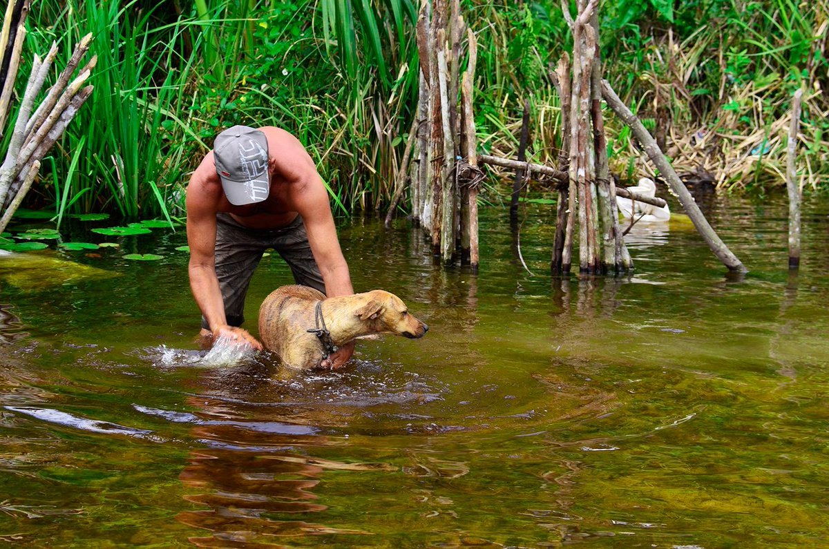 ZeMaria65's tweet image. 