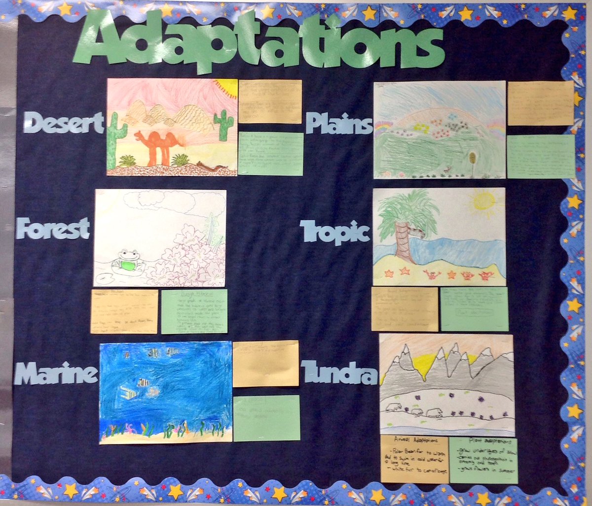 4th_haun's tweet photo. We drew biomes-then researched plants and animals that have adapted to survive there! #interactivebulletinboards https://t.co/a7m3NN5E8J