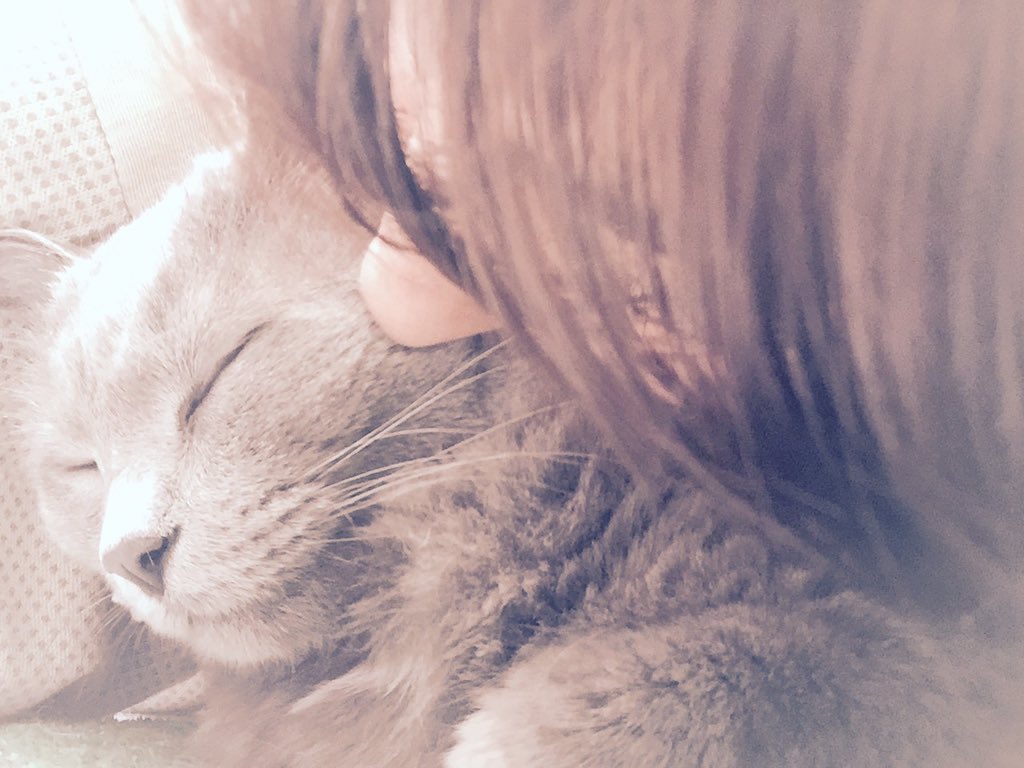 jiimiap's tweet photo. Y aquí estamos, aunque sean poquitos días al año.  #TrueLove 😘😻 https://t.co/oTklVcvZQN